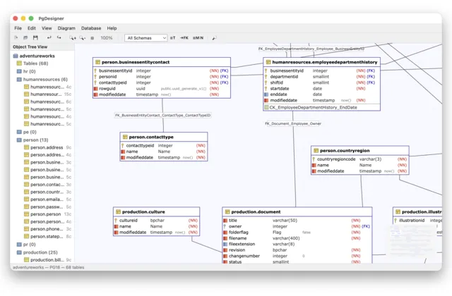 PgDesigner visual ERD editor showing database schema