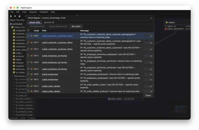 PgDesigner lint results showing schema validation issues